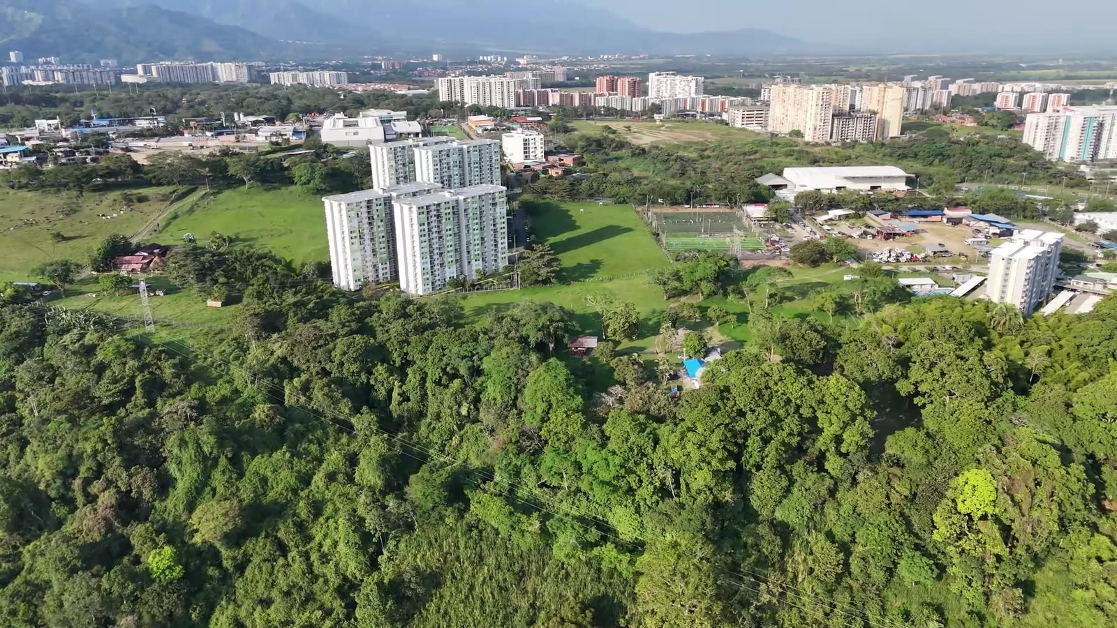 Bosque nativo y el horizonte urbano de Ibagué al fondo.